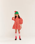 Wynken - beau collar dress - dancing dhalia