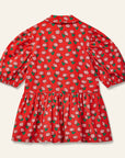 Wynken - beau collar dress - dancing dhalia