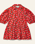 Wynken - beau collar dress - dancing dhalia