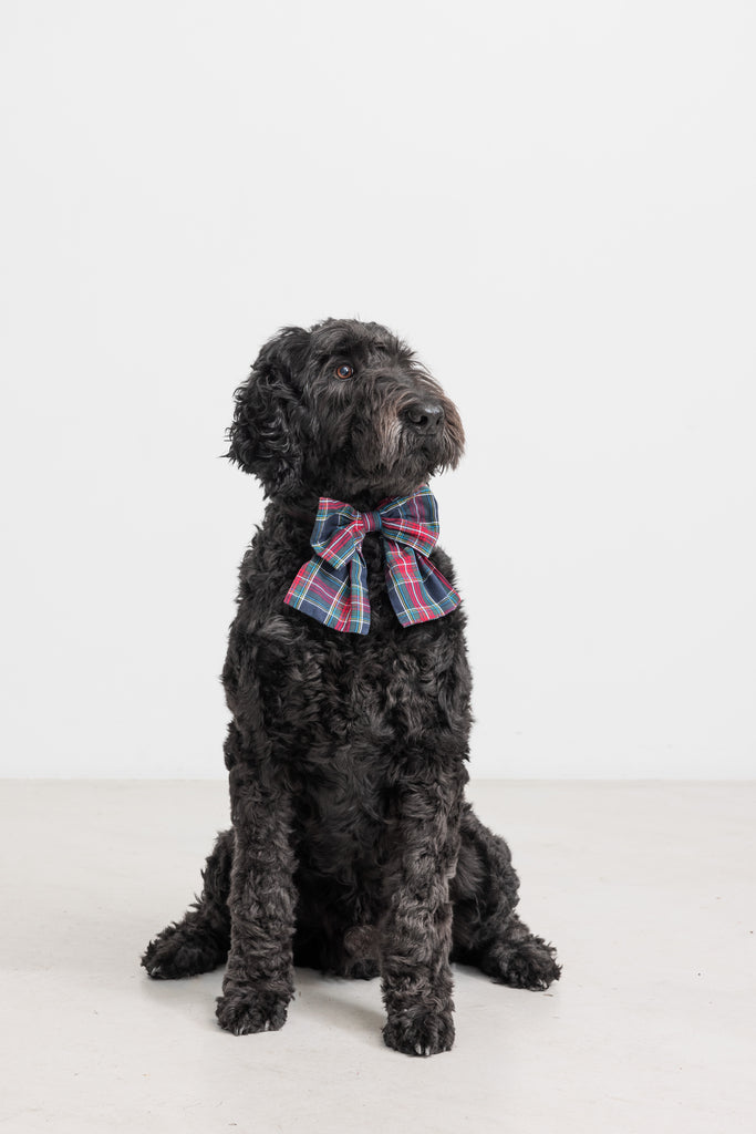 Marmar - alina - check bow - pilot navy